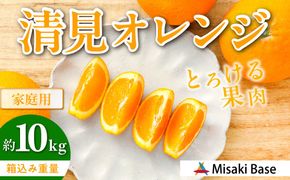 【先行受付】【家庭用】清見オレンジ 10kg ※離島への配送不可 （2026年3月中旬より順次発送） IKTAB008 
