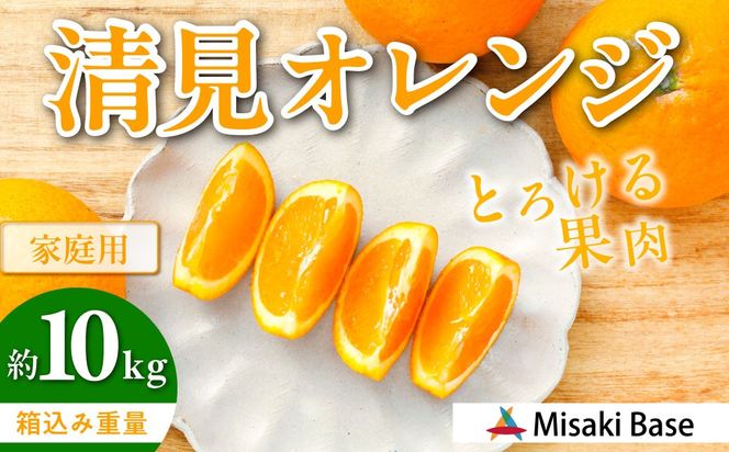 yQɕzystzyƒpzIW 10kg ւ̔zs i2026N3{菇j IKTAB008