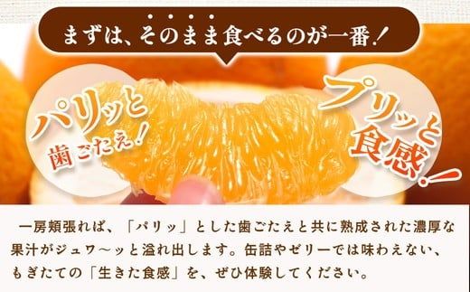 ＜4月より発送＞家庭用 樹上完熟はっさく10kg+250g（傷み補償分）有田の春みかん・五月八朔・さつきはっさく・木生りはっさく・きなりはっさく【光センサー選別】訳あり