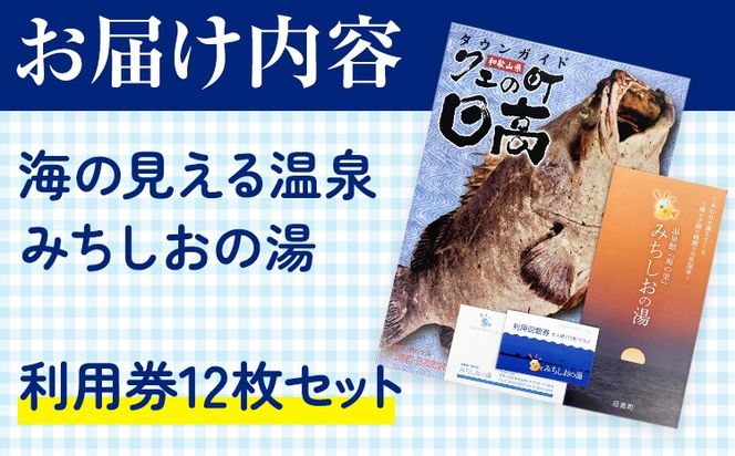 【温泉館「海の里」みちしおの湯】利用券 12枚組 日高町役場《30日以内に出荷予定(土日祝除く)》和歌山県 日高町 温泉 チケット 天然温泉 家族温泉 露天風呂---iwsh_hdyumimy_30d_23_20000_12p---