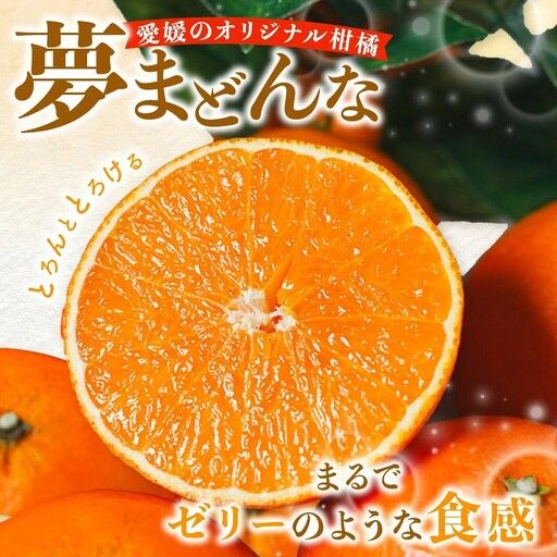 【先行予約】特選 みかん職人の夢まどんな 2kg 柑橘 果物 フルーツ 愛媛 みかん職人武田屋 蜜柑 愛果28号 愛媛果試第28号 まどんな 大小ミックスサイズ 甘い 甘さ らんきんぐ みかん かんきつ 柑橘 冬 旬 食べごろ 農家 農家直送 農園 人気 みかん職人 武田屋 産直 みかん職人武田屋 愛媛県 愛南町