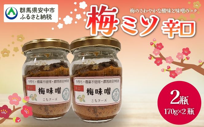 梅ミソ（辛口）ANBN003