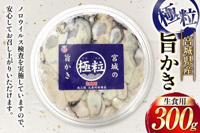 【期間限定発送】 宮城県産 むき身 極粒旨かき 生食用 300g ×1p[丸壽阿部商店 宮城県 南三陸町 m304bir010000] かき カキ 牡蠣 生牡蠣 貝 魚介類 剥き身 むき身 殻なし 冷蔵 新鮮 なべ カキフライ 牡蠣ご飯 濃厚