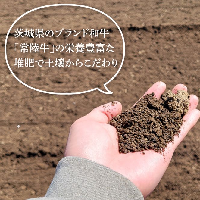 「特撰」干し芋紅常陸　丸干し 700ｇ【紅常陸 べにひたち さつまいも サツマイモ 甘い おいしい 袋詰め ギフトボックス 】(BV012)