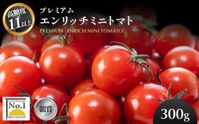 【高糖度11以上】PREMIUM ENRICH MINI TOMATO 300g（プレミアムエンリッチミニトマト）【28004AA0101】