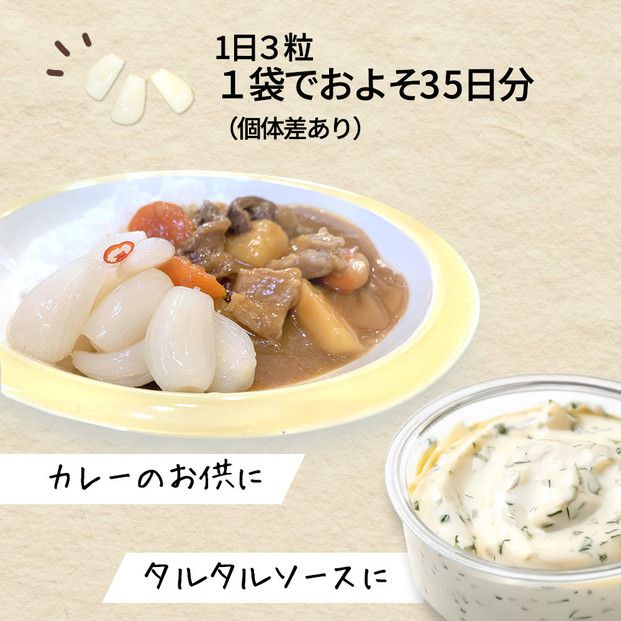 【業務用】鳥取県産砂丘らっきょう　500ｇ×2 322032_BS010