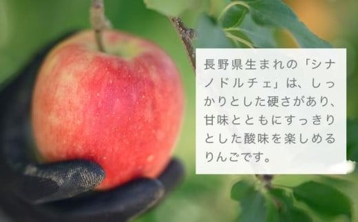 シナノドルチェ 約3kg 6～12玉 ［ おぶせファーマーズ ］ 数量限定 期間限定 果物類 林檎 りんご リンゴ フルーツ 長野県産 信州産 令和7年産 【2025年9月中旬発送】 ［FH-85］