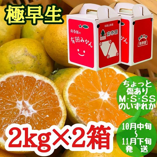 ちょっと 傷あり 極早生 みかん 有田 M～SSサイズ 約2kg × 2箱 手さげ箱 南泰園_ZF6026n