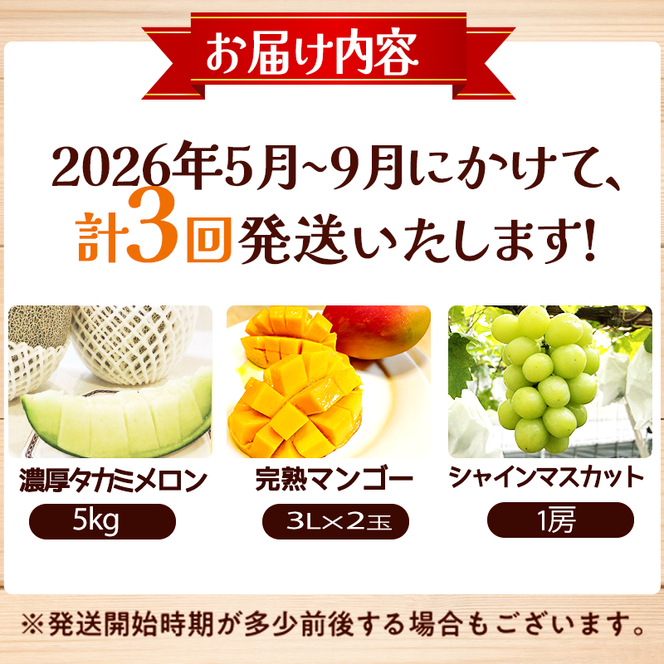 【定期便3回】契約農家直送の新鮮フルーツ定期便C（フルーツ 果物 くだもの マンゴー アップルマンゴー ブドウ ぶどう メロン 定期便）