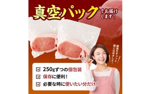 ※グラムが選べる※ 【宮崎県産】ブランドポーク　ロース厚切りステーキ  【 肉 宮崎 ステーキ 豚肉 おかず ロース 】 [B13216 B13217 B13218]