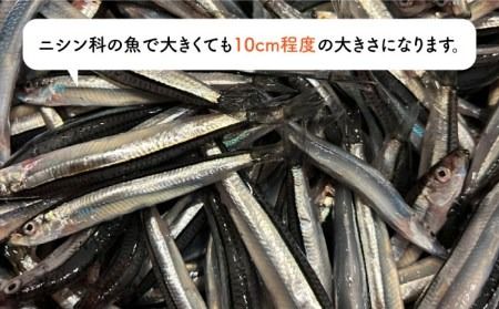 きびなご ジャーキー 40g×3袋 糸島市 / 株式会社コバヤシ【coco.kina】 [ASL009] ドッグフード おやつ きびなご ジャーキー 犬 魚 キビナゴ ドライ 無添加