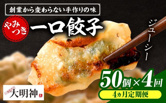 【4回定期便】一口餃子 50 個入りタレ１個（3か月に1回お届け）_kn107-t004