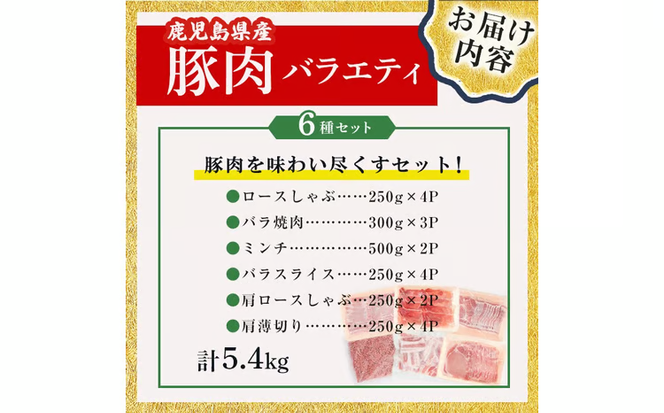 鹿児島県産 豚肉 バラエティ セット6種 計5.4kg b5-201