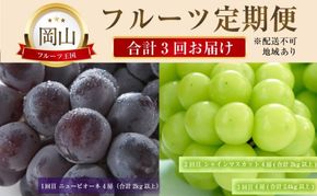ぶどう 【2026年 先行予約】 晴れの国 おかやま の フルーツ 定期便 葡萄 ニュー ピオーネ シャインマスカット 岡山県産 国産 セット ギフト