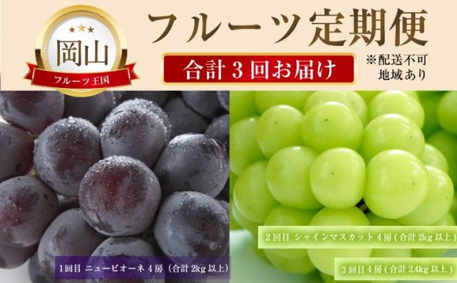 ぶどう 【2026年 先行予約】 晴れの国 おかやま の フルーツ 定期便 葡萄 ニュー ピオーネ シャインマスカット 岡山県産 国産 セット ギフト