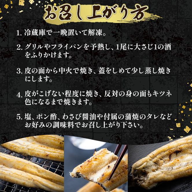 うなぎ白焼 4尾 高知県産うなぎの白焼き 150～180ｇ×4尾 早い スピード発送 7日程度 早く届く スピード配送 エコ包装 国産 うなぎ 白焼き 鰻 冷凍 高知 yw-0116