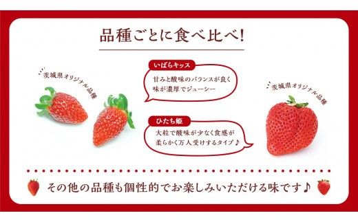 【 茨城いちごグランプリ 受賞 農園 】 完熟 いちご 4品種 食べ比べ セット イチゴ 苺 フルーツ 果物 果実 いばらキッス ひたち姫 とちおとめ やよいひめ よつぼし すず はるひ かおり野 ほしうらら [DY001ci]