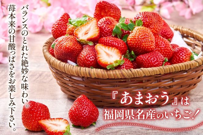 【期間限定発送】 いちご 春の苺 あまおう 4パック [南国フルーツ 福岡県 筑紫野市 21760096] いちご 苺 イチゴ フルーツ 果物 期間限定 季節限定 福岡県産 甘い 