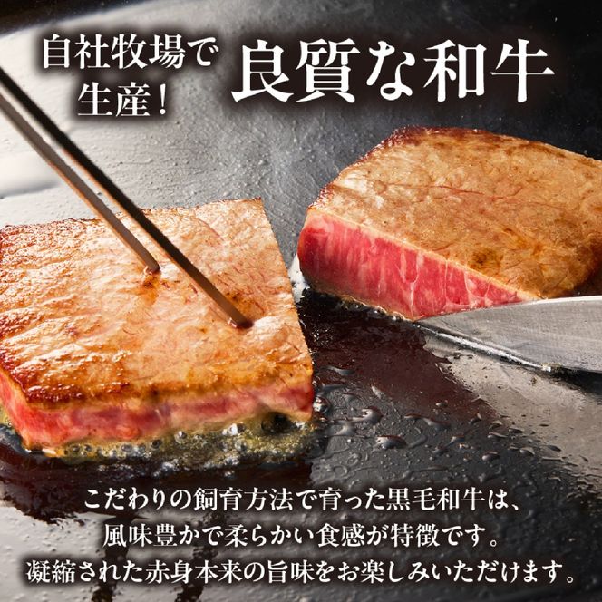 【自社牧場和牛】小林市産 黒毛和牛 赤身ステーキ 200g×3枚（牛肉 国産牛 黒毛和牛 和牛 赤身 ステーキ）