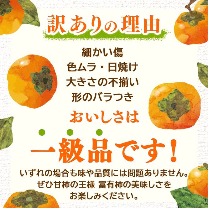 【先行予約】うま杉の富有柿 10kg 30玉(3L) ※2026年11月中旬～12月中旬頃に順次発送予定