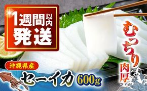 セーイカ (そでいか) 0.6kg (300g ×2パック) 沖縄市 / 沖縄市漁業協同組合 パヤオ直売店[BCDZ002]