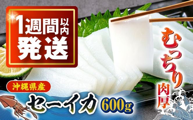 yꌧszZ[CJ (ł) 0.6kg (300g ×2pbN) s / sƋg pIX[BCDZ002]