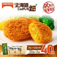 訳あり 北海道 コロッケ じゃがいも畑 カレー 20個 × 2袋 計 40個 カレーコロッケ じゃがいも 最短3日 7日出荷 冷凍食品 惣菜 弁当 おかず 揚げ物 グルメ 大容量 冷凍コロッケ 揚げるだけ 時短 