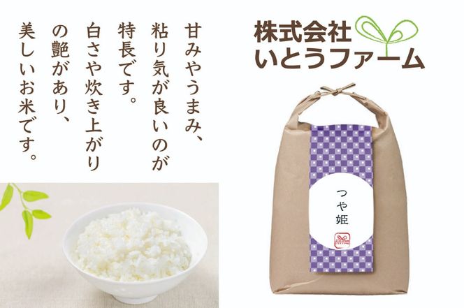 【3ヶ月定期便】いとうファームの 令和6年産「つや姫」15kg×3回 計45㎏ / 米 お米 精米 白米 ご飯 米定期便 産地直送 【itofarm018】