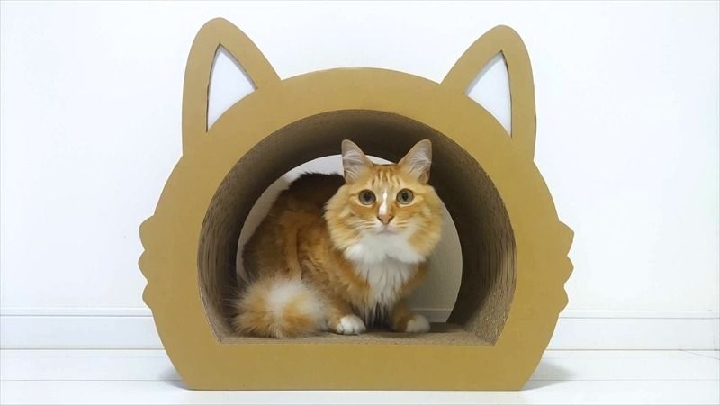 ねこの爪とぎ みみCT カラー;ホワイト[ ペット用品 爪とぎ 神奈川県 小田原市 ]