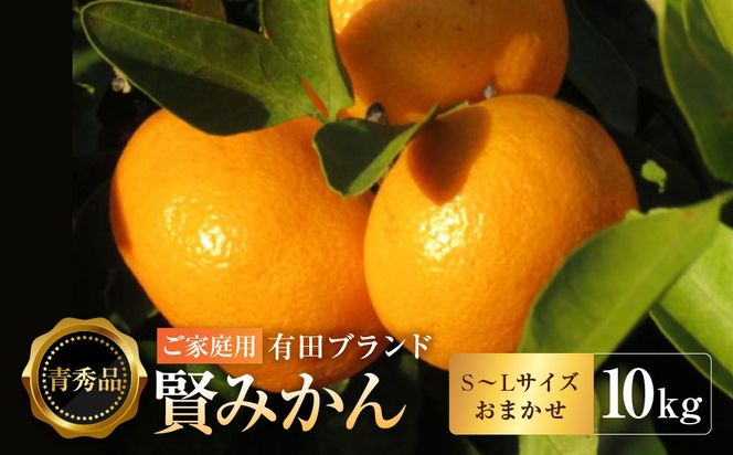 有田のブランド「賢みかん」10kg(S～Lサイズおまかせ）ご家庭用［2026年11月中旬頃より順次発送］ BZ078