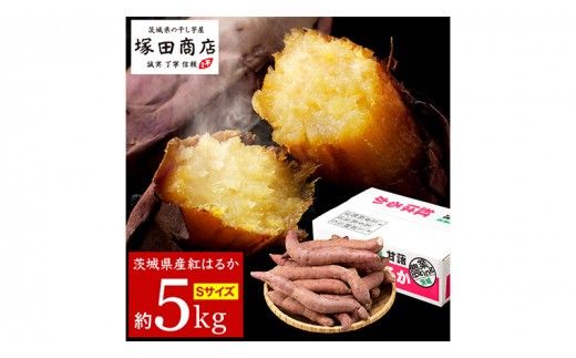 【 塚田商店 】 訳あり 茨城県産 さつま芋 紅はるか Sサイズ 5kg さつまいも サツマイモ いも 芋 イモ [BD009ci]