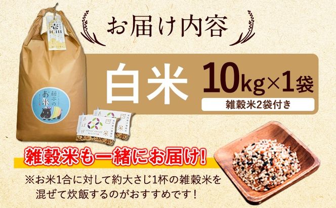 新米 令和6年産 特別栽培米 いのちの壱(白米)10kg×1 雑穀米付き《30日以内に出荷予定(土日祝除く)》 熊本県 南阿蘇村 熊本県産 虹色のかば 雑穀米---sms_inci6_30d_24_25000_h10kg---