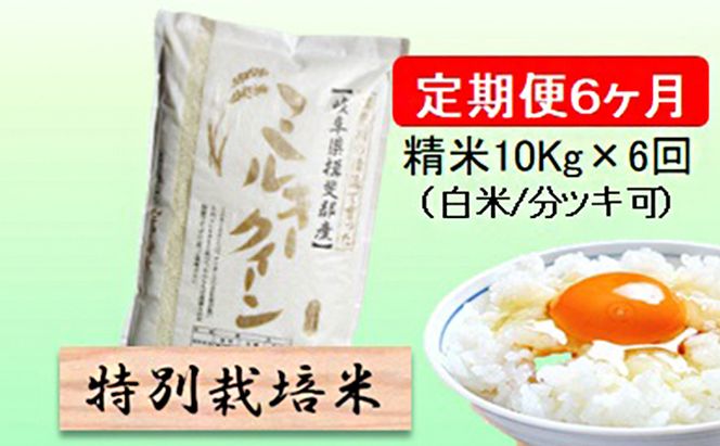 定期便 6カ月【 令和8年産 】毎月  精米 10kg（ 白米 /7分/ 5分 ツキ可）【 ミルキークイーン 】玄米は別に出品