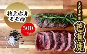 【予約受付】天然芭蕉鹿 特上赤身モモ肉500g 【sris0003】