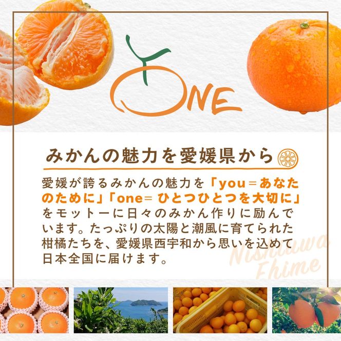 【先行受付】【数量限定】早生みかん（生果）3kg（2026年11月上旬より順次発送）IKTQ015