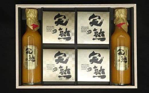 【濃厚とろーり】マンゴードリンク＆マンゴーゼリーセット