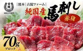 FK7-0213_純国産馬 赤身 70ｇ 肉 馬肉 馬刺し 熊本県 熊本 嘉島