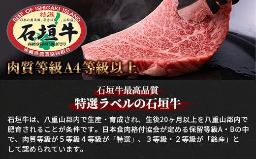 【全2回 定期便E】 石垣牛 ステーキ＆焼肉特盛セット・すきしゃぶ800g＆焼肉特盛セット　計3.2kg（いしなぎ屋）【 特選肉 肉 高級 黒毛和牛 和牛 牛 】AB-33