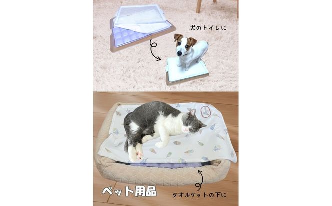 【定期便3回（3か月に1回）】シリカゲル乾燥剤 DQ SHEET（10枚入り） | 湿気とり 日用品 除湿 乾燥剤 コンパクト 湿気取り 湿気対策 脱臭 梅雨 夏 愛知県 春日井市