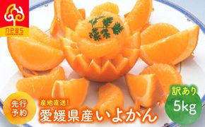 【先行予約】【訳あり】産地直送！愛媛県産いよかん 5kg（2027年1月中旬から発送予定）IKTF030
