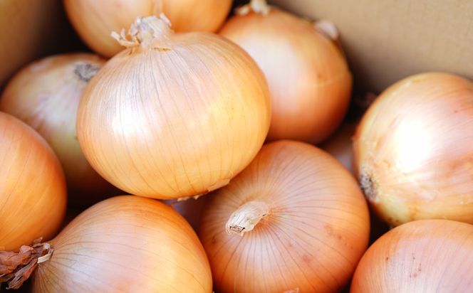 【定期便12ヶ月】淡路島たまねぎ 大きな2Lサイズ 5kg　　[玉ねぎ 産地直送 玉葱]