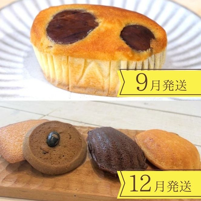 【4回定期便】〈洋菓子館ベルジェノア〉季節ごとに届く洋菓子定期便 ≪チーズケーキ スイーツ スフレ 半生 個包装 栗 桜 マドレーヌ フィナンシェ≫