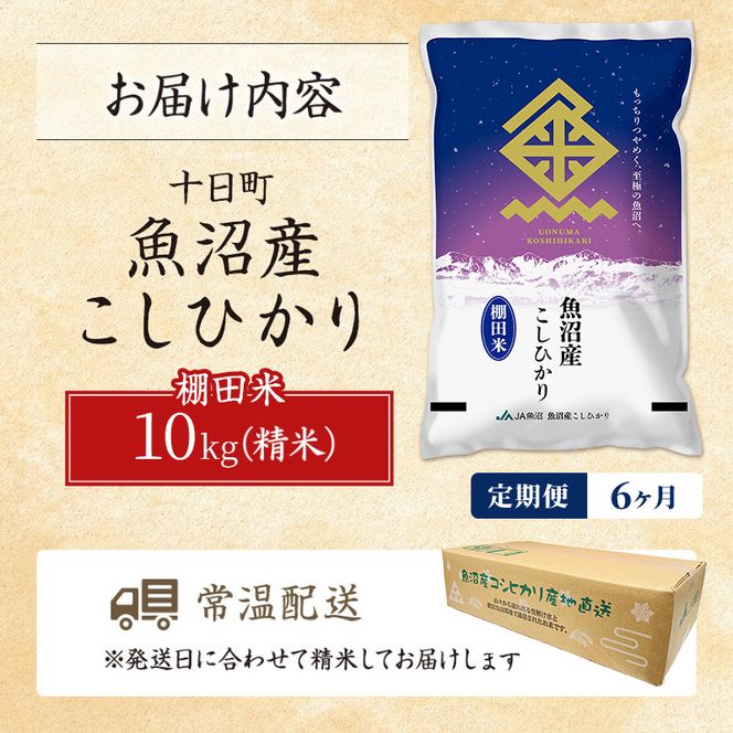 【6ヶ月定期便】魚沼産こしひかり 棚田米(十日町地域) 精米 10kg(5kg×2) 米 お米 コシヒカリ 定期 十日町市