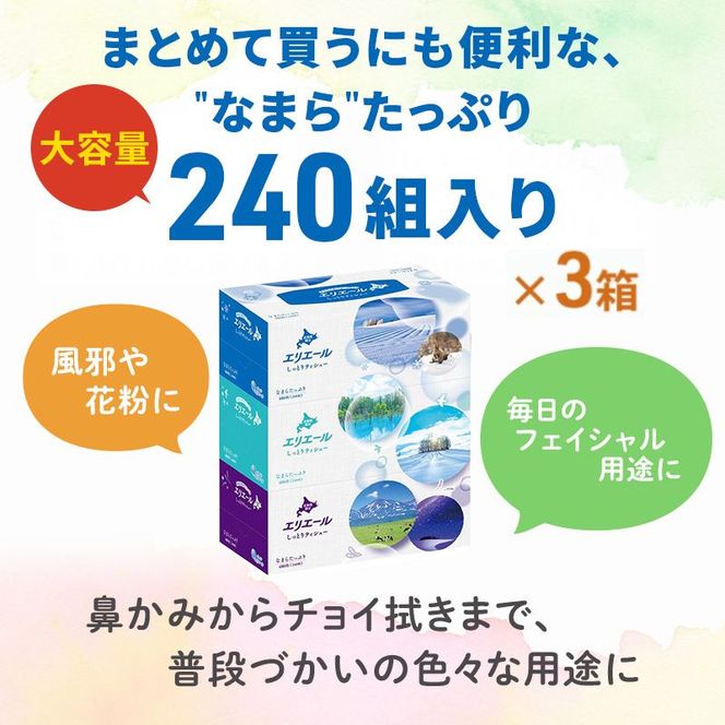 【2回お届け 計60箱】エリエール 北海道 しっとりティシュー なまらたっぷり 240組3箱 10パック ふるさと納税限定デザイン ボックスティシュー 箱ティッシュ ペーパー 備蓄品 花粉 保湿成分 グリセリン配合