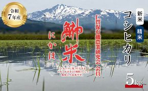 令和7年産11月から発送 特別栽培米 鰰米 コシヒカリ にかほ 精米 5kg