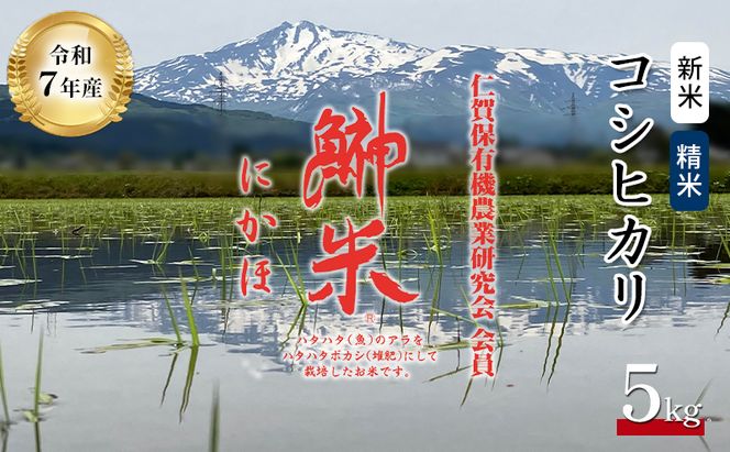 令和7年産11月から発送 特別栽培米 鰰米 コシヒカリ にかほ 精米 5kg