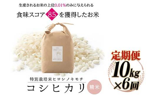 令和8年度　新米 【6回定期】特別栽培米 コシヒカリ ヒロシノキモチ 精米 10kg 総計60kg ブランド米 銘柄米 国産 米 お米 日本米 ギフト 贈り物 備蓄 防災 食品 陽咲玲 はるざれ F6T-1035