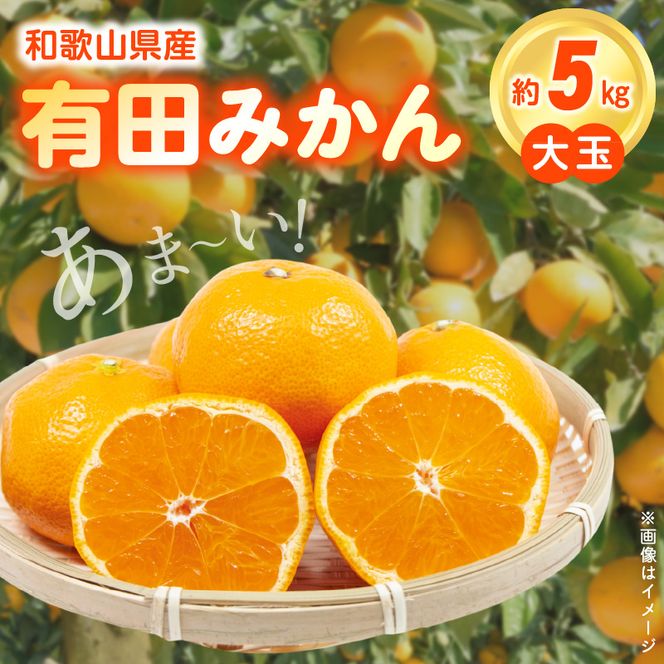2026年先行予約】（大玉）和歌山県産 有田みかん 5kg ひとつひとつ手
