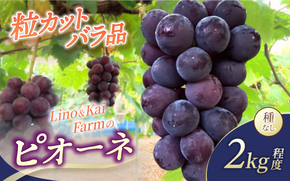【2026年先行予約】 【粒カットバラ品】 Lino＆Kai Farmの ピオーネ(2kg程度） / ぶどう 岡山 真庭市 ピオーネ 高級 大粒 果物 ご自宅用 訳あり 産地直送 国産 数量限定 種なし 【linokai015-01】