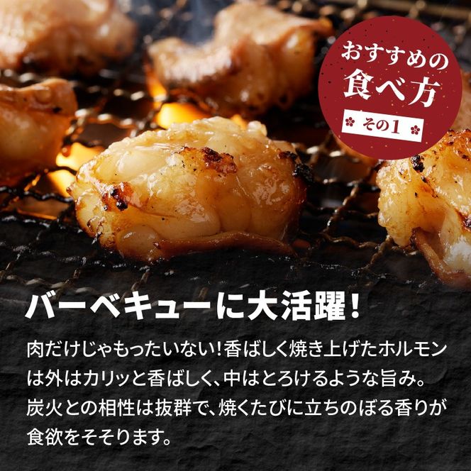 ホルモン番長(国産牛タレ付ホルモン)《 肉 ホルモン 国産牛 自家製タレ 新鮮 》【2401A00224】